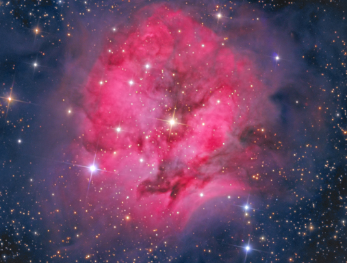 Full Size Image