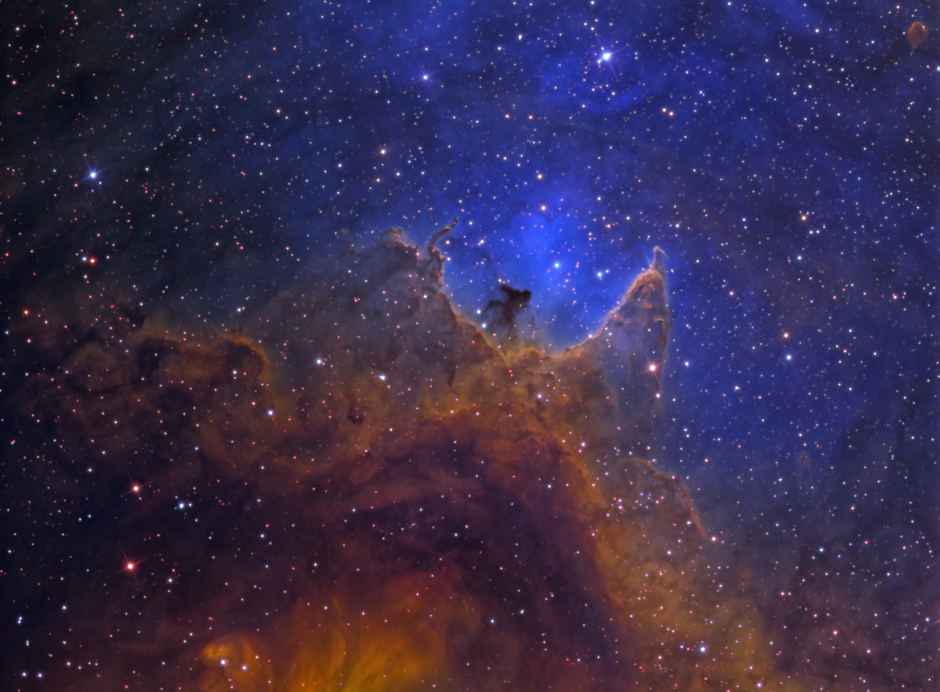 Flapping Bird IC1848 by Ken Crawford