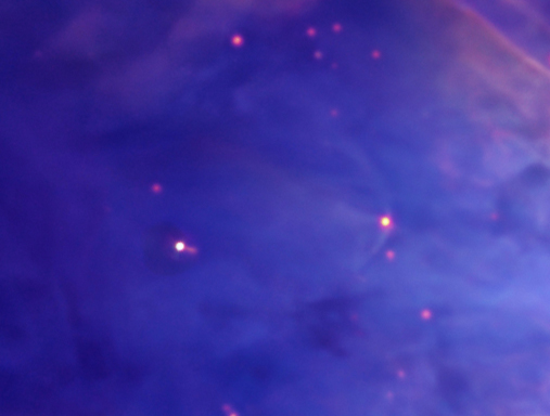 Full Size Image