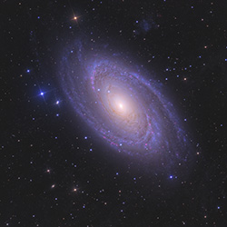 M81
